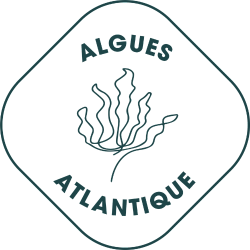 Logo Algue marine provenance Atlantique Blanc et vert