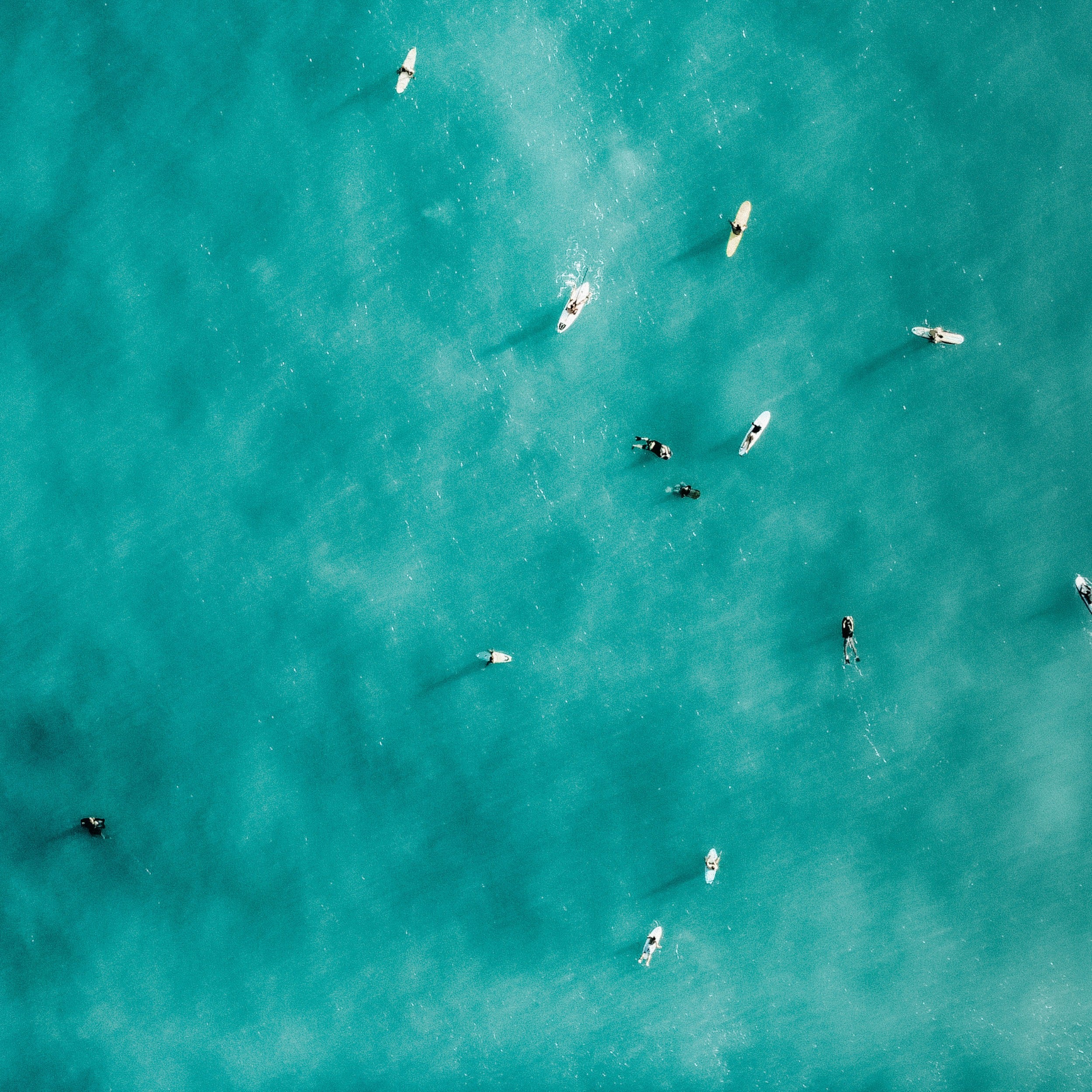 Personnes dans l'eau océan