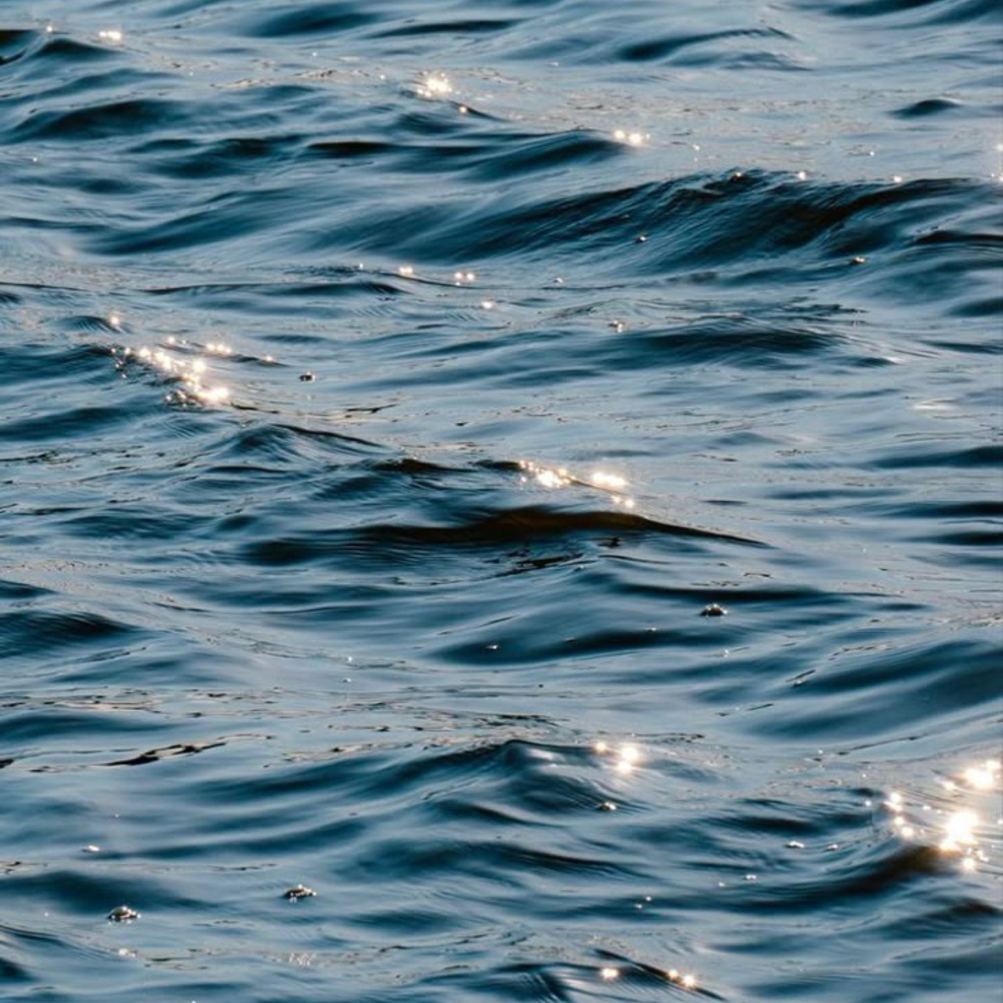 Les trésors de l'Océan : Pourquoi les actifs marins révolutionnent les soins de la peau