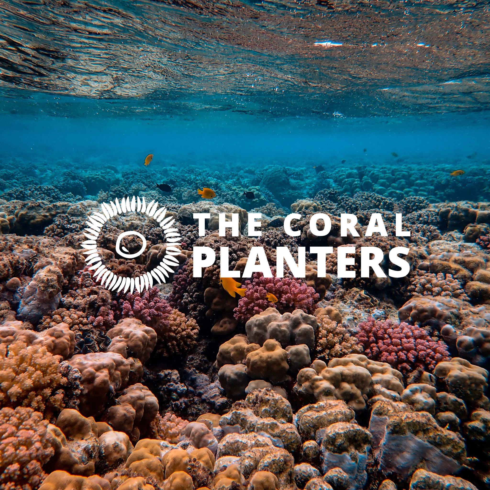 The Coral Planters : gardien du vivant marin